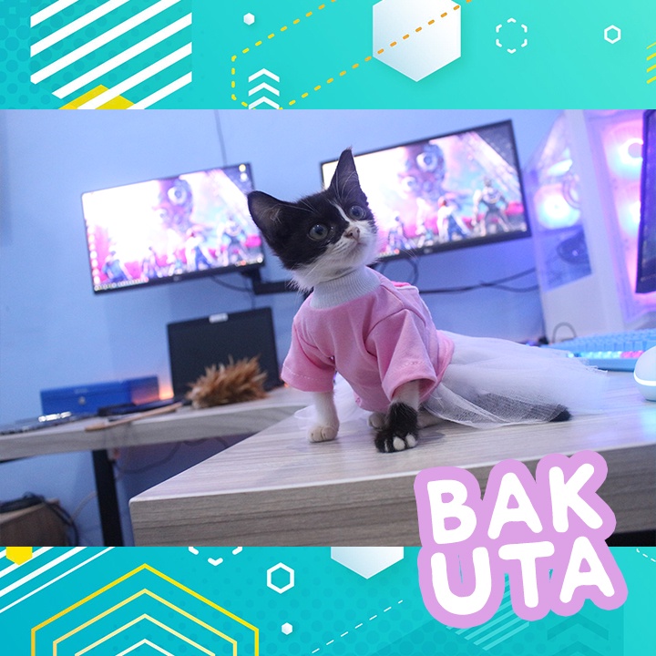 Dress tutu kelinci pink terbaru baju kucing dan anjing / baju kucing murah size S-XL