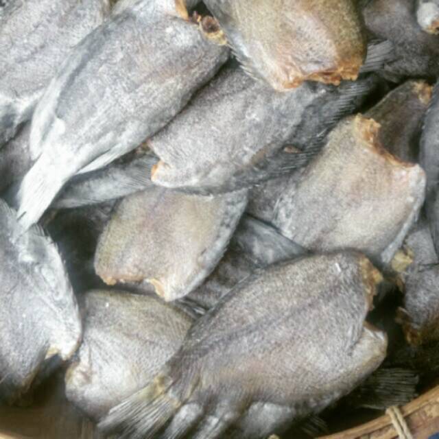 

IKAN ASIN ( sepat siam tanpa kepala)