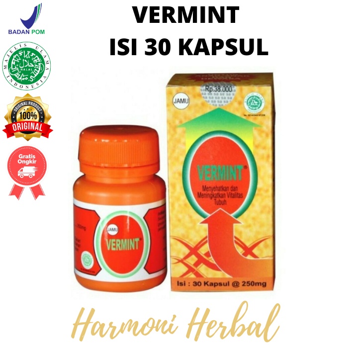 Vermint | Vermin | Obat Penyakit Tifus / Tipes / Typus 30 Kapsul