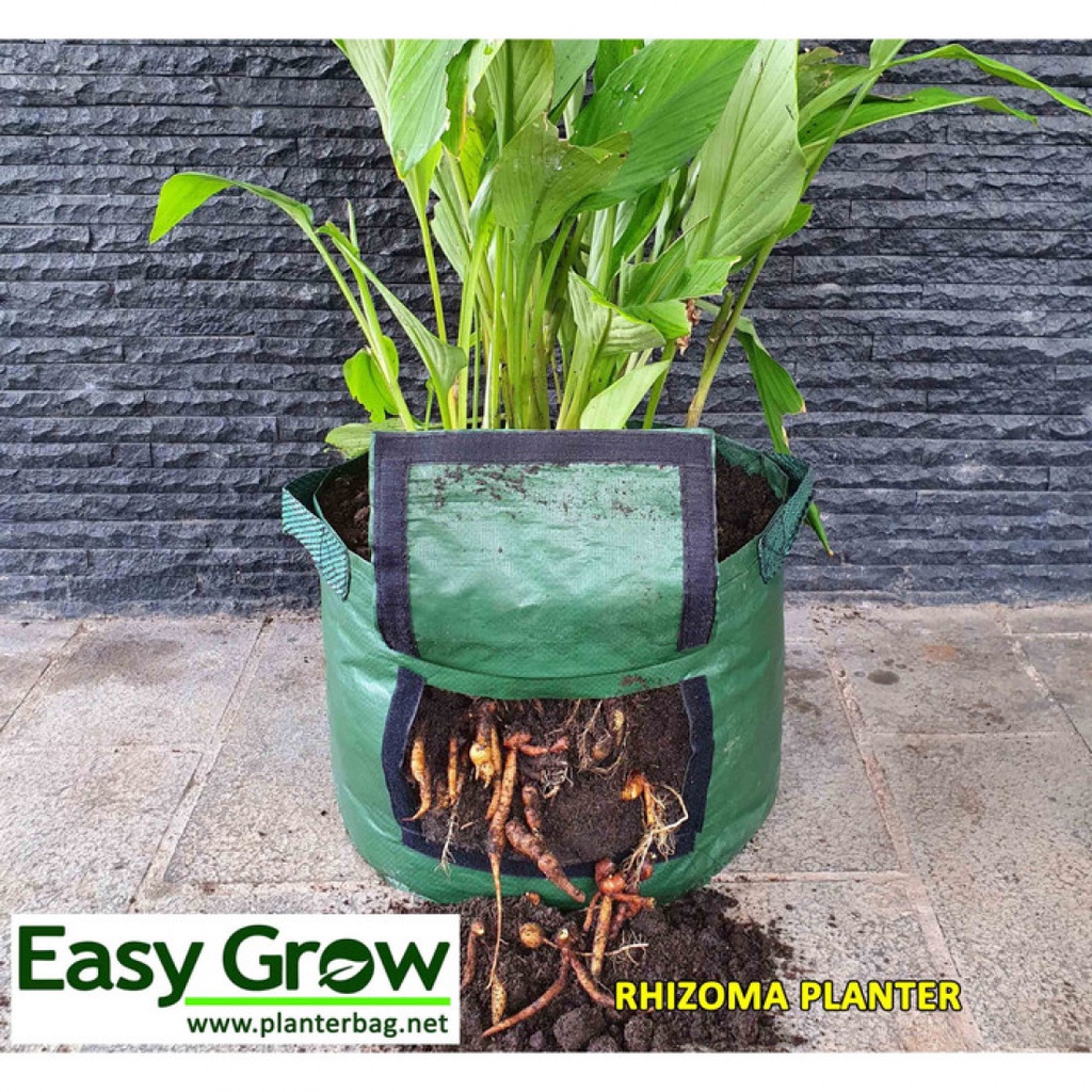 EASY GROW - RHIZOMA PLANTER BAG size L - pot jahe - planter jahe - pot rimpang - planter rimpang