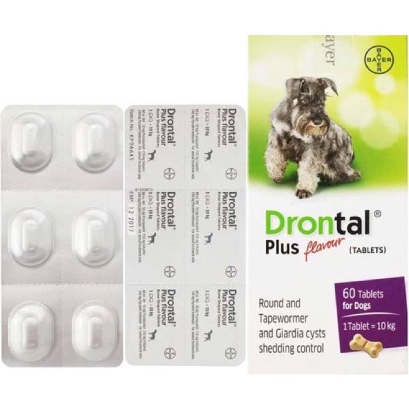 DRONTAL DOG/ DRONTAL ANJING