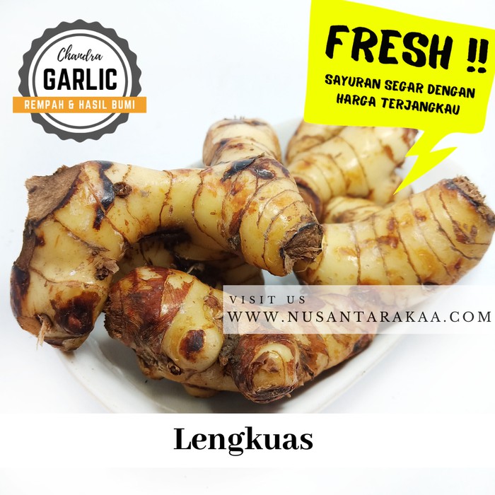 laos / lengkuas / lengkoas / laja 1kg