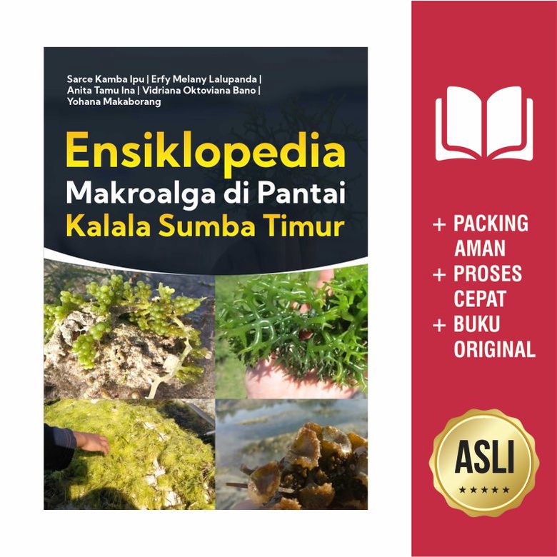Buku Ensiklopedia Makroalga Di Pantai Kalala Sumba Timur Shopee Indonesia