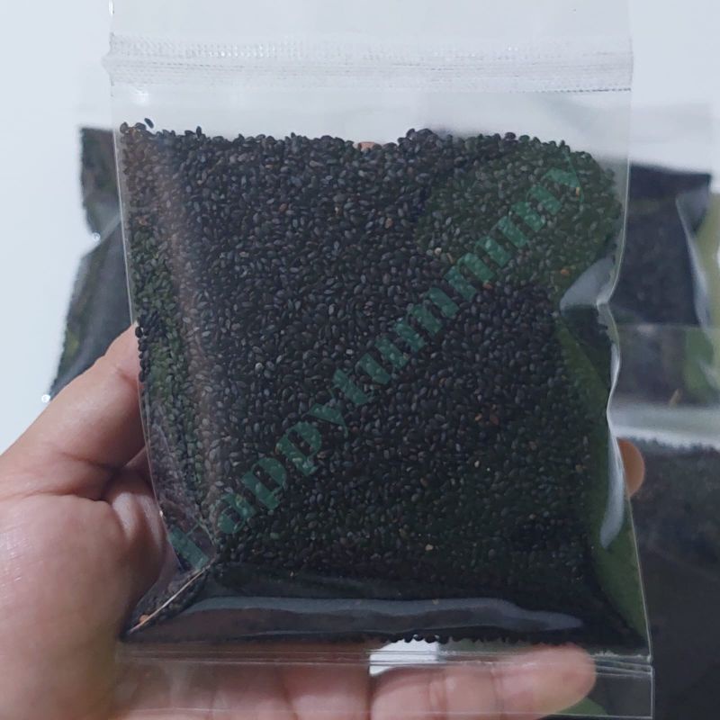 HPT - TERMURAH! 100gram Biji Selasih/ Basil Seed Kualitas Bagus Import PREMIUM QUALITY