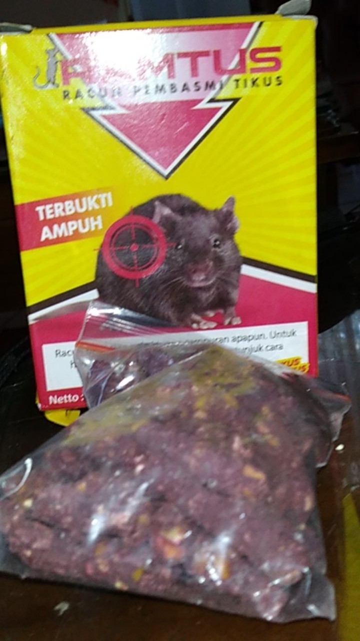 Ramtus Obat Racun Tikus Langsung Mati Kering Tidak Bau Sangat Ampuh Racun Pembasmi Tikus 1 Pack
