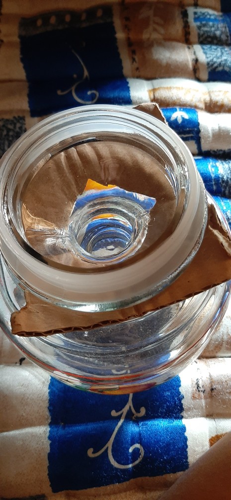 Toples Kaca Seal Ijj 1000 Gl/d