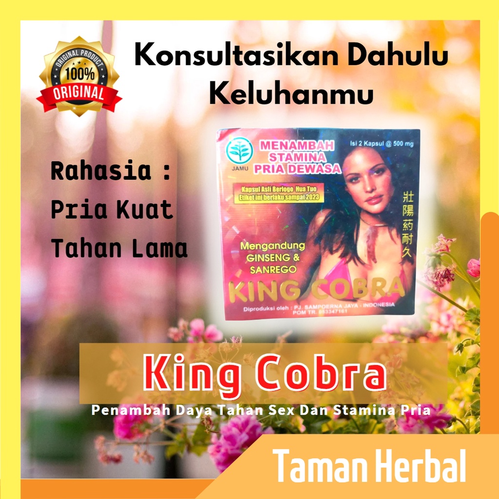 Jual King Cobra Original Obat Kuat Dan Tahan Lama Pria Permanen Untuk