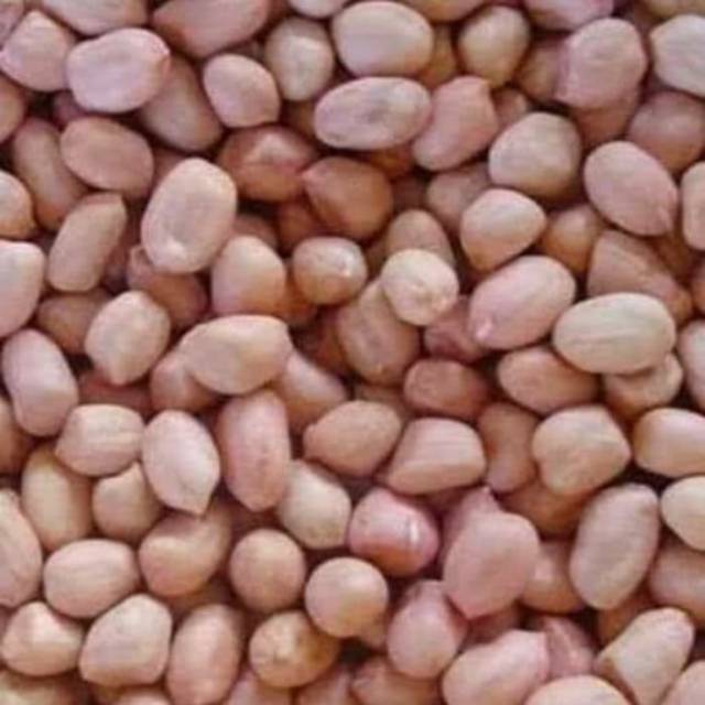 

Kacang tanah 250 gram/ 500 gram, sayur medan