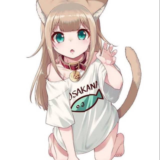 Kostum osakana neko