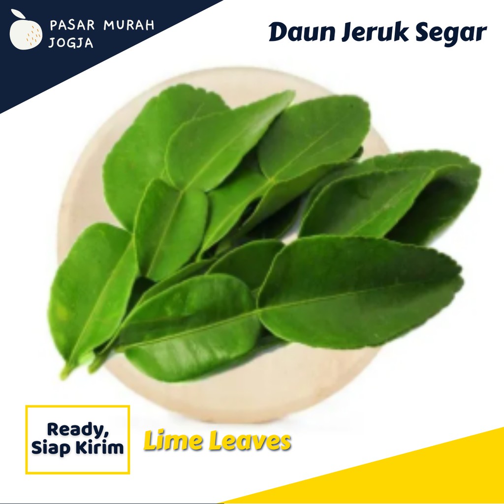 

Daun Jeruk Bumbu Dapur Segar Pasar Murah Jogja