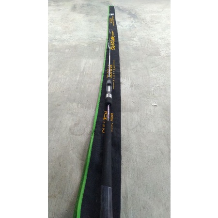 Rod Bullzen Iguana Platinum PE 2-4