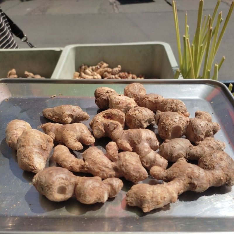 

Jahe Merah Segar SIAP PAKAI 250g