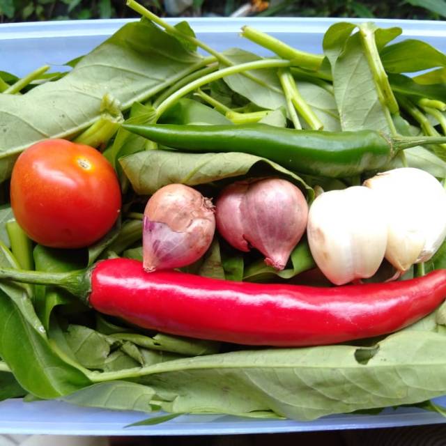 

Sayur potong mama ayra