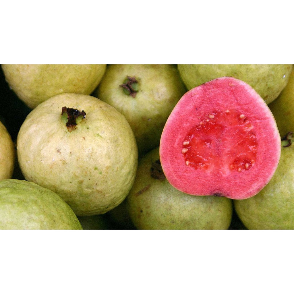 

Jambu Merah 1 kg