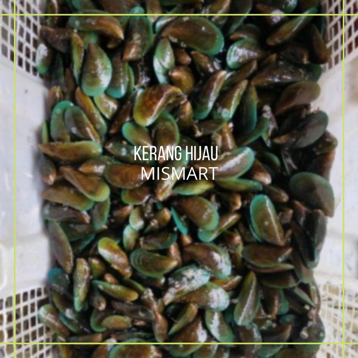 

KERANG HIJAU PER kg