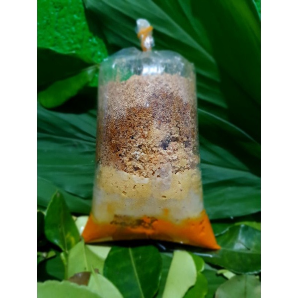 

bumbu ayam goreng/ungkap ayam