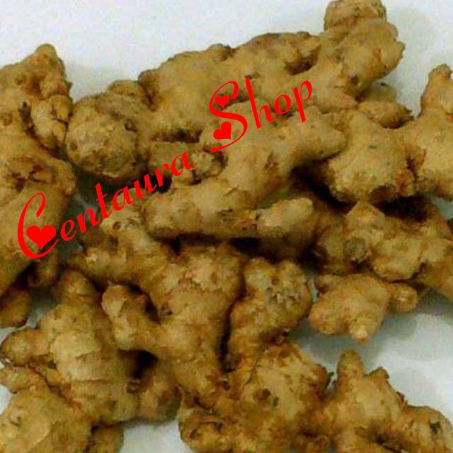 

Jahe Emprit Kwalitas Super Unggul 500gr