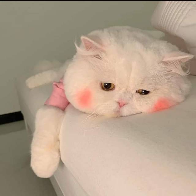 h*****i