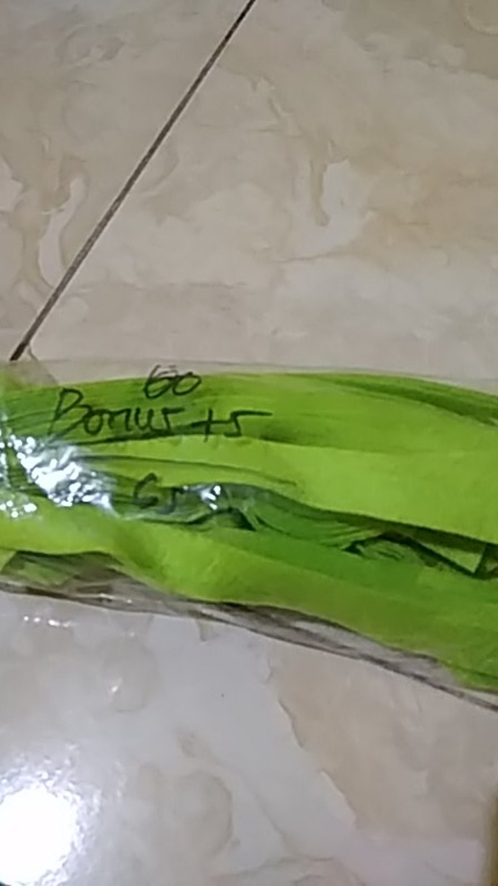 Kain Flanel Sumbu Hidroponik Isi 60pcs Uk.2cm X 24cm