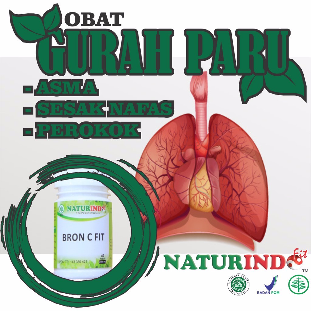 Obat Gurah Paru Paru asma Sesak Napas Nafas Perokok Batuk menahun Herbal ampuh bronfit fluba batu influenza mendengkur nyeri didada perokok berat rinithis sinusitis tbc tuberculosis-1