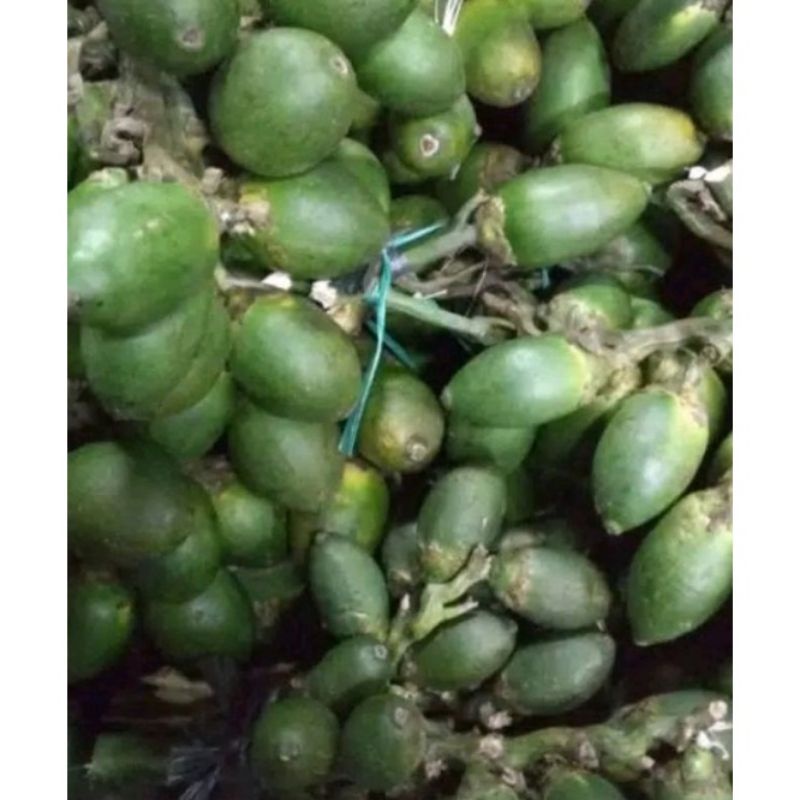 

Buah Pinang