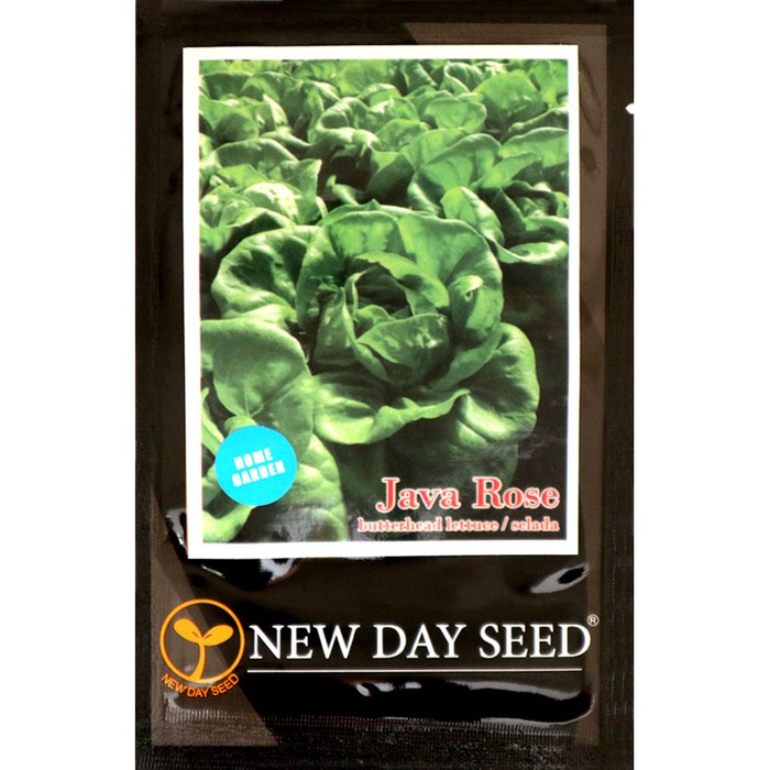 

Benih Selada Buttterhead Java Rose New Day Seed