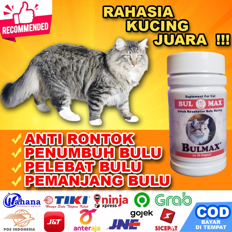 Bm30 Penumbuh Bulu Kucing Bulmax Vitamin Bulu Kucing Rontok Dan Pelebat Bulu Kucing Kampung Tebal Shopee Indonesia