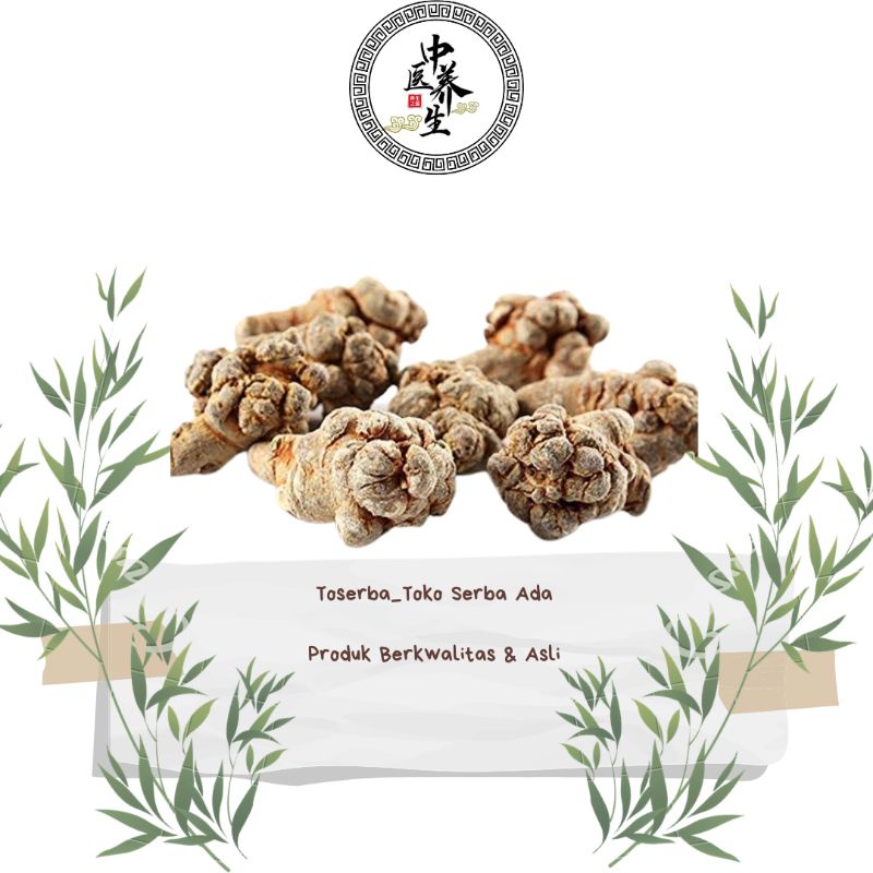 

100gr Herbal Tian Qi 田七 San Qi Panax Notoginseng Premium Grade