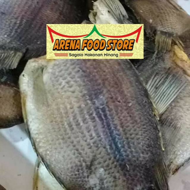 

Ikan sapek besar