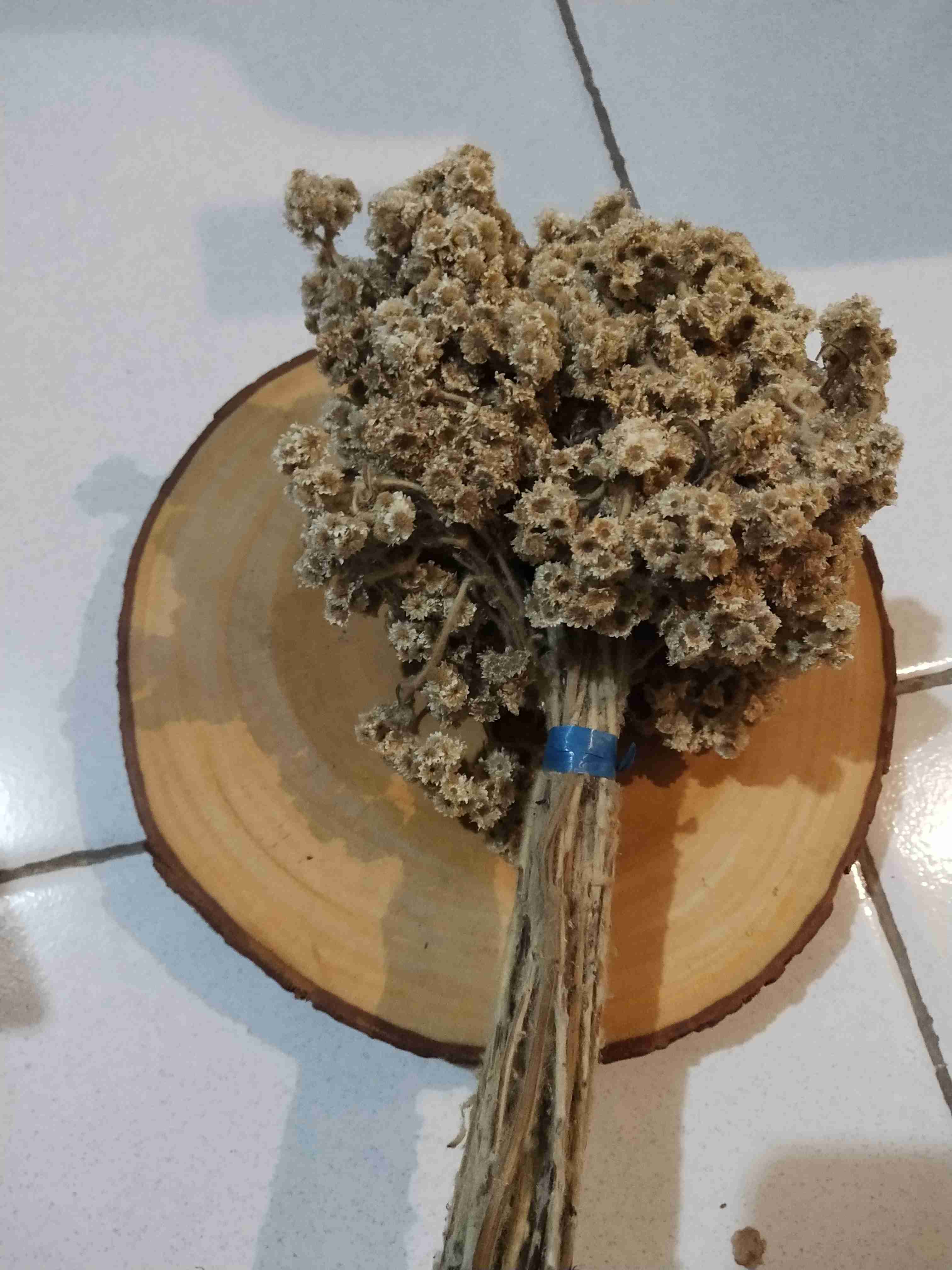 Bondarts Wood Slice Size 35 S/d 44 Cm | Irisan Kayu Mahoni | Talenan Dekorasi