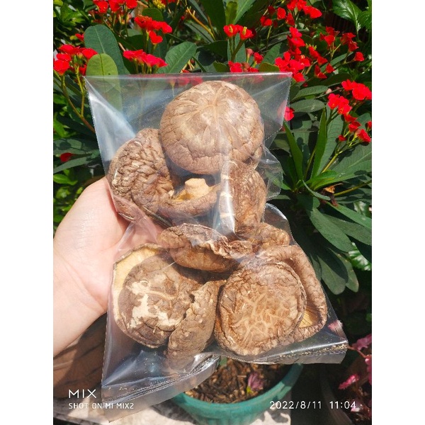 jamur hioko premium 100g