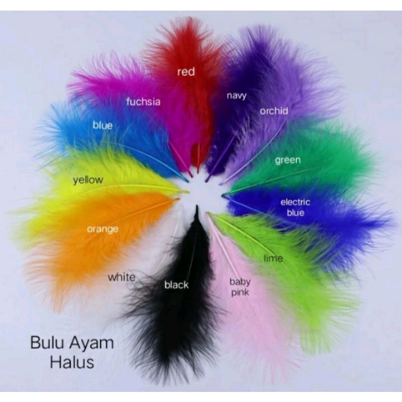 Murah/Bulu ayam halus warna warni/ Bulu bahan kerajinan