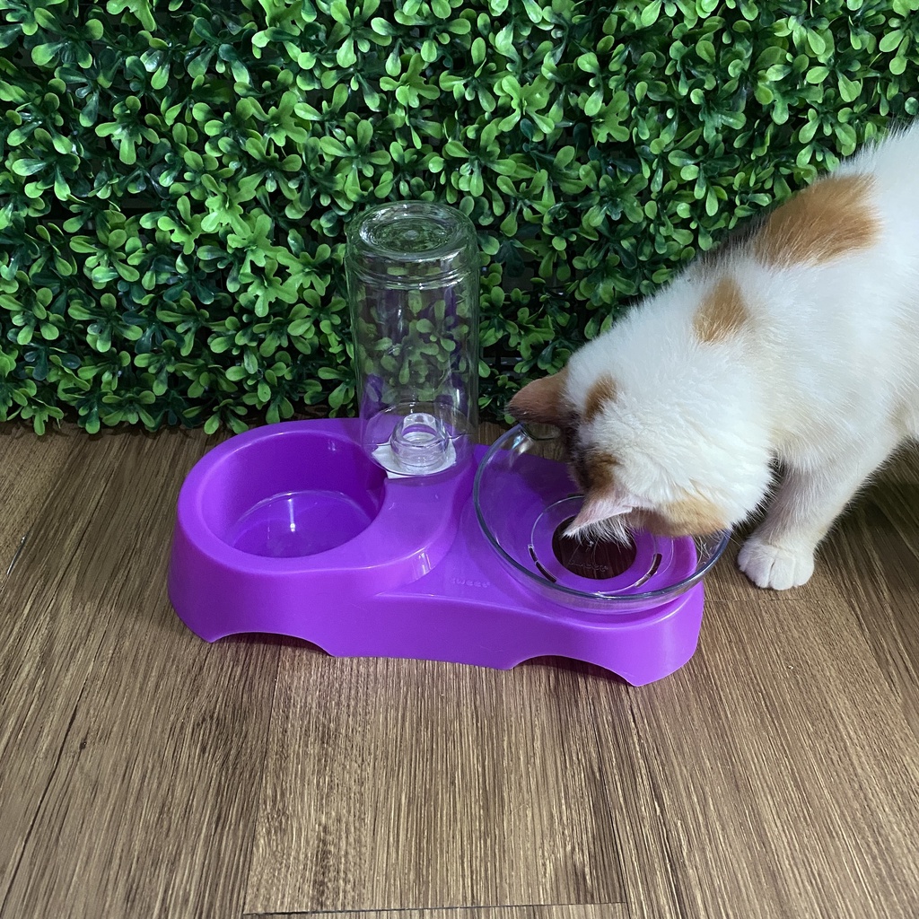 Pet Plate Mangkuk Tempat Makan dan Minum Kucing 350ml 2in1