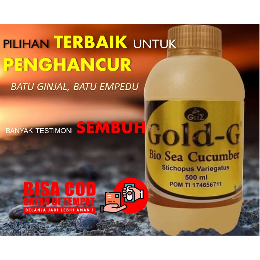 Obat Penghancur Batu Empedu Dan Batu Ginjal Jelly Gamat Gold G Indonesia
