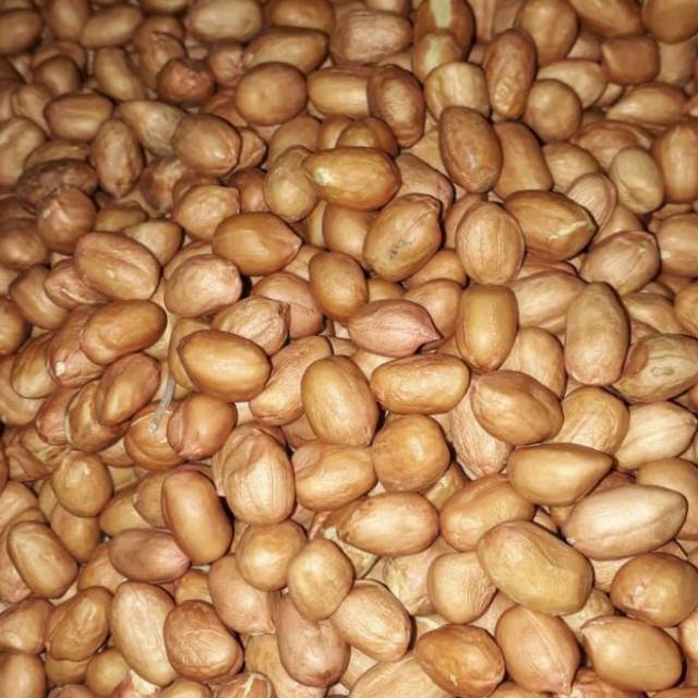 

Kacang Tanah dan giling