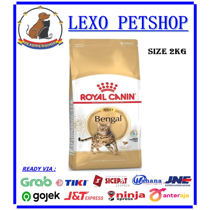 Jual Royal Canin Bengal Adult 2 Kg Cat Food / RC Bengal 2kg Shopee Indonesia