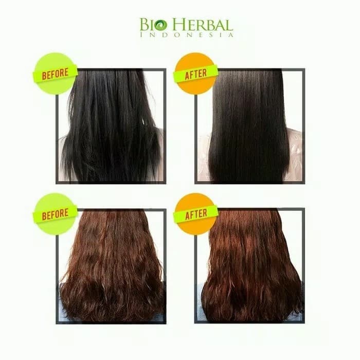 BIO HERBAL GINSENG SHAMPOO ORGINAL BPOM - SHAMPOO GINGSENG BIO HERBAL