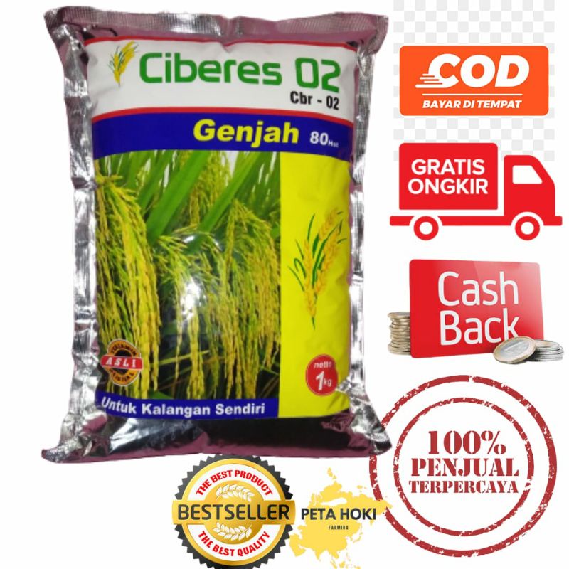 Benih padi Ciberes 02 CBR 02 bibit padi ciberes Tahan tikus tahan rebah tahan roboh batang kokoh