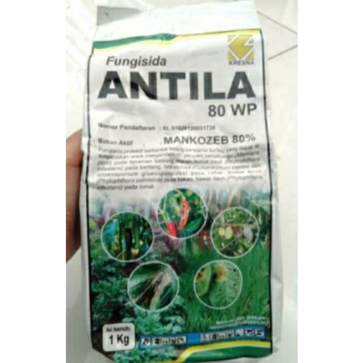 antila 1kg