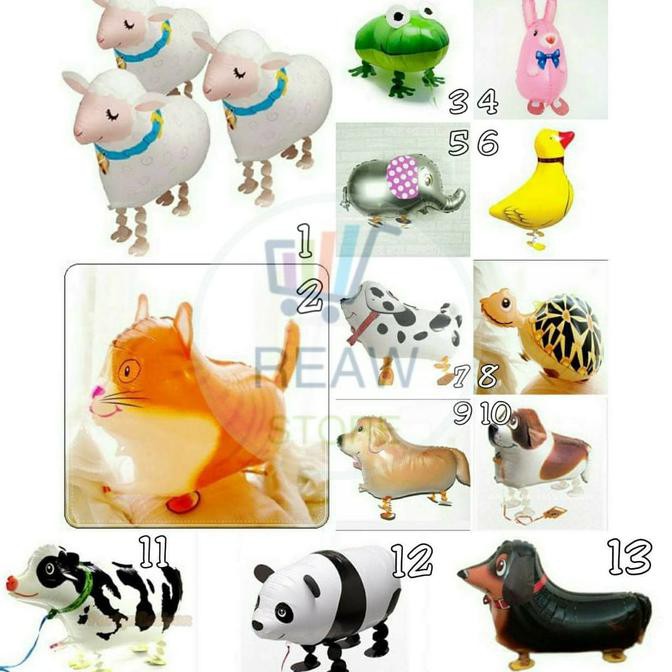 4000 Gambar Binatang Lucu Terbaru HD Terbaik