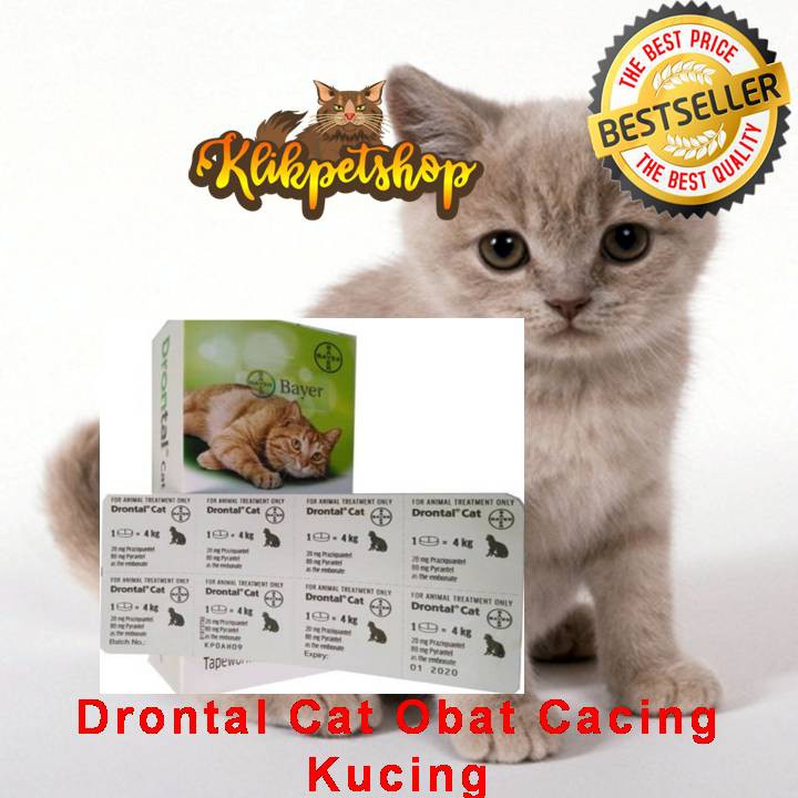 Obat cacing kucing drontal Cat