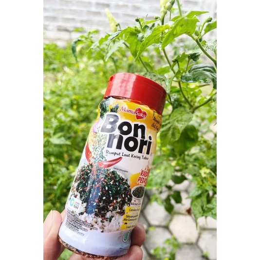 

Bon Nori Masukan 30gram (Rumput Laut Tabur)