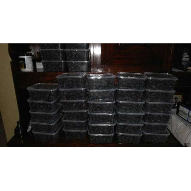 

Kurma Ajwa kurma ajwa 900gram (netto)