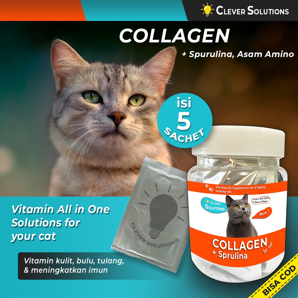 COLLAGEN Vitamin Kucing Suplemen Penggemuk Vitamin Bulu Kucing with Fish Collagen Spirulina Asam Amino by Clever Solutions Fluffy Magic Collagen