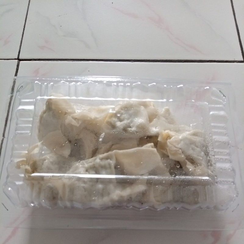 

Pangsit box isi 10pcs