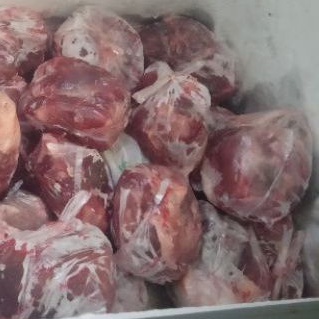 DAGING BABI HUTAN / CELENG SEGAR