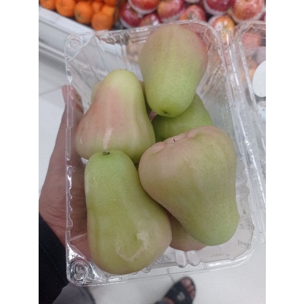 

Jambu jade rose jumbo manis 1 kg