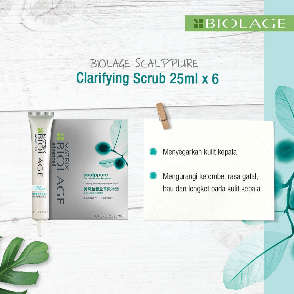 MATRIX Biolage Scalppure Clarifying Scrub - Serum Perawatan Pembersih Kulit Kepala Rambut Gatal Ketombe 25 ml x 6