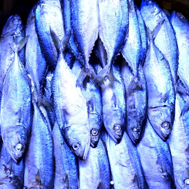 

Ikan rebus medan tanjung balai 1kg