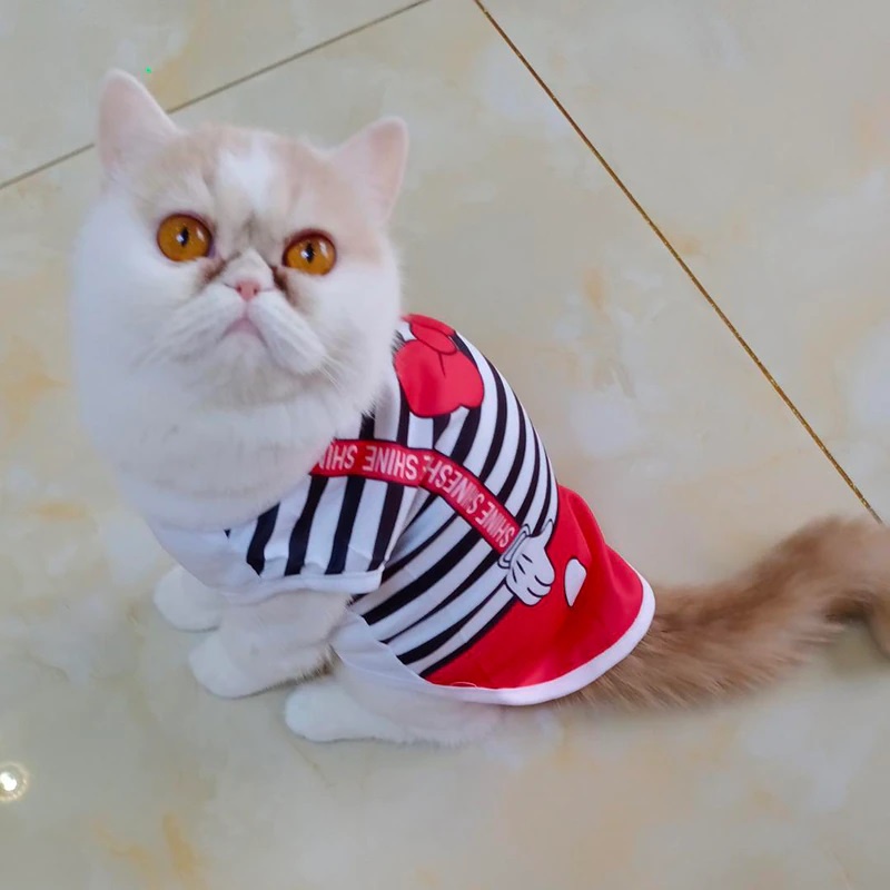 Pakaian Kucing/baju Kucing